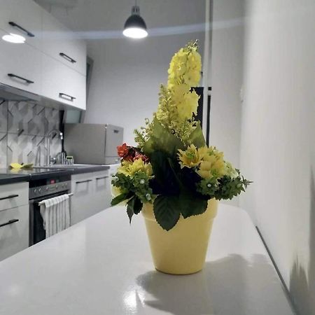 A Convenient Apartment In The Heart Of אתונה מראה חיצוני תמונה