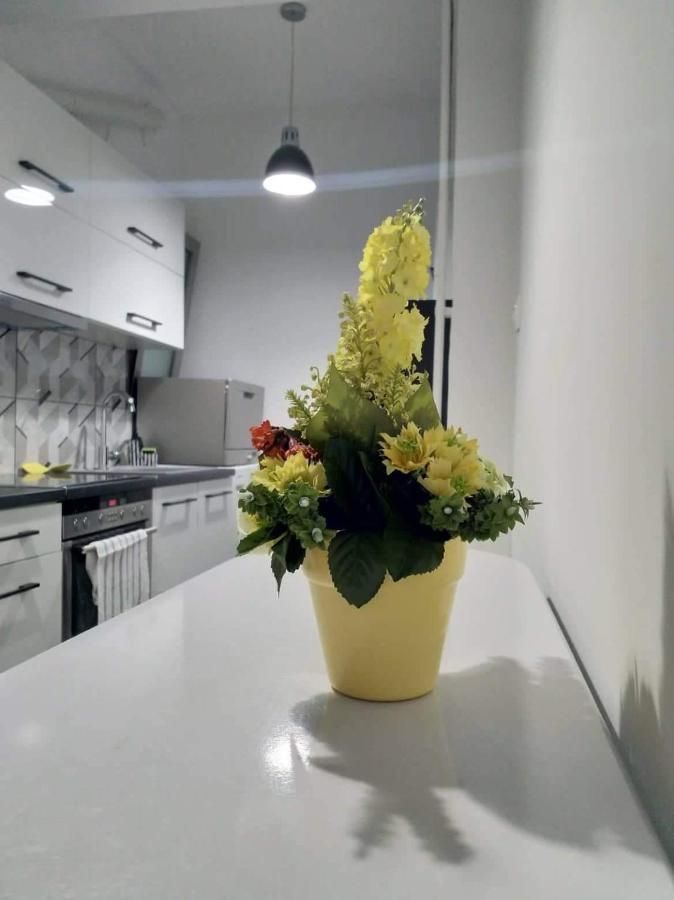 A Convenient Apartment In The Heart Of אתונה מראה חיצוני תמונה
